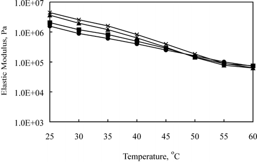 Figure 9. Effect of aging (•: 2, ▪: 4, ▴: 12, × : 24 wk) on elastic modulus (G ′) of 62.4% MNFP Cheddar cheese during heating.