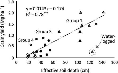 Figure 3. Relationship between effective soil depth and grain yield.Effective soil depth is defined as a soil thickness overlying a petroplinthic horizon.