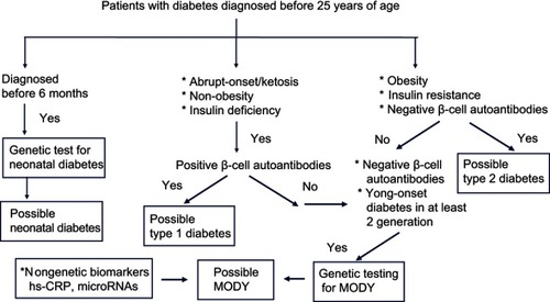 Figure 2 Diagnostic algorithm for maturity-onset diabetes of the young (MODY).