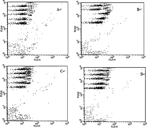 Figure 1. Serum levels of IL-2, IL-4, IL-5, IFN-γ, and TNF-α measured by CBA in different experimental groups. The mice (n = 10/group) treated with 3% oxazolone were supplemented with vehicle alone (B), SASP (C), or CGMP (D) in the basal diet. The mice (n = 10) fed with the basal diet alone served as a healthy control (A). The peripheral blood of each mouse was collected 4 h after the last supplementation and the serum levels of IL-2, IL-4, IL-5, IFN-γ, and TNF-α were measured by CBA. In each panel, the populations shown from the top to the bottom in terms of the fluorescence intensity in FL3-H channel represent IL-2, IL-4, IL-5, IFN-γ, and TNF-α, respectively. Data are representative from 10 independent experiments.