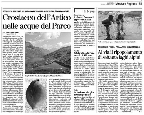 Figure 1. Excerpt of an insert of the daily Italian newspaper La Stampa reporting the news from the Valle d’Aosta region (11 August 2011, p. 51). In a single page two items of “good news” are reported: (i) “Arctic crustacean discovered within the National Park” (large title on the left), and (ii) “Start of the fish stocking action of seventy alpine lakes” (title on the right). The former news talks about the finding of a very rare zooplanktonic crustacean (Daphnia middendorffiana, sensu Margaritora Citation1985; Daphnia pulicaria according to Bellati et al. Citation2014), which survived in a few mountain lakes of the Gran Paradiso National Park (Aosta, Italy) just because the lakes were conserved in their original fishless state, i.e. Daphnia pulicaria is a large zooplankton species, very sensitive to visual predation by introduced fish (Tiberti Citation2011); the latter is a report of a large fish stocking campaign involving 70 historically fishless high mountain lakes in the Western Italian Alps (Aosta).