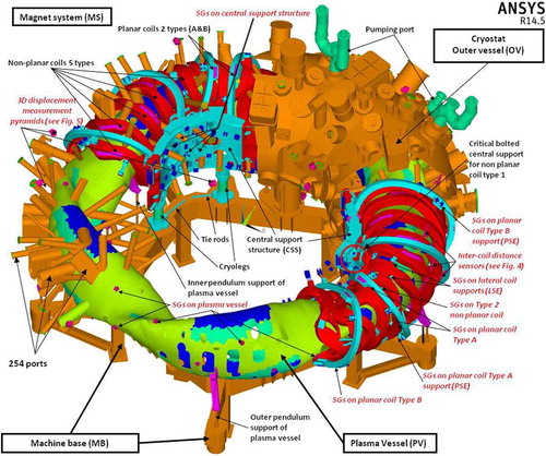 Fig. 1. Fragment of global FE models of cryostat and magnet systems with identification of sensor positions.