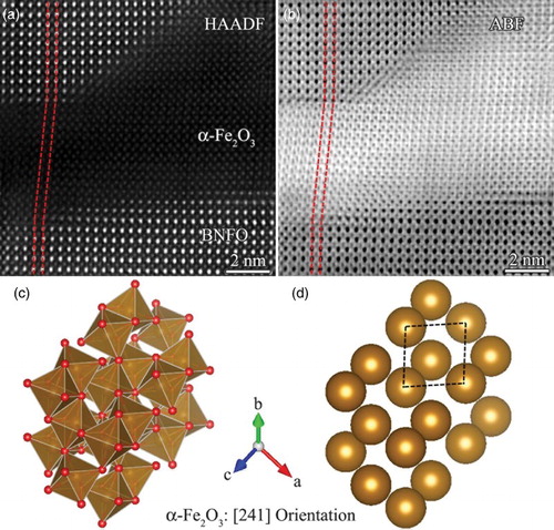 Figure 3. (Colour online) (a) Atomic-resolved HAADF-STEM and (b) corresponding ABF-STEM plan-view images showing the coherent growth of α-Fe2O3 and BNFO matrix. The red dash-lines are added as a guide to the eye to identify the change of the lattices across the BNFO matrix and precipitate. (c) The polyhedral model showing face and edge-sharing FeO6 octahedra of a α-Fe2O3 unit cell viewed along [241] zone-axis and (d) the corresponding projection of the unit cell. Oxygen anions are omitted and only Fe cations are shown for the sake of clarity. The black dash lines illustrate the dumbbell structure of the Fe–Fe cations in neighboring FeO6 octahedra.