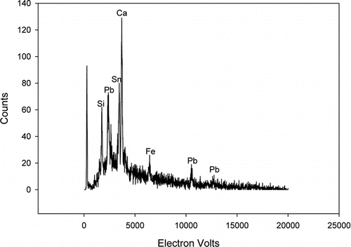 FIG. 5 X-ray spectrum of particle shown in Figure 4. Five seconds of data acquisition excited by 20 keV electrons at 2.1 nA current. Two weaker lines not labeled in this spectrum are from potassium and chlorine.