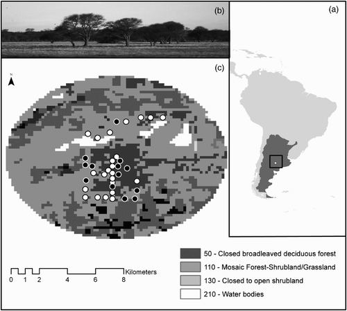 Figure 1. Maps of the study area. (a) location of Luro Natural Reserve within Argentina; (b) photo of the dominant habitat type in the reserve: the xerophytic wood of Caldén with clearings covered by grassy savannahs; (c) circular section of Luro Park enclosing the 36 sampled locations surveyed for the occurrence of Ferruginous Pygmy Owl during the breeding season 2010. White points in (c) represent the locations where owl presence was recorded, black points represent absence; legend numbers correspond to the vegetation classification from the globcover land-cover maps of the world; vegetation represented in black (rain-fed croplands) was not surveyed.