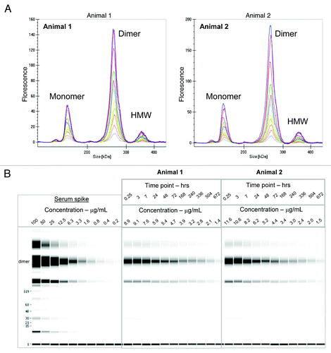 Figure 7. (A) Electropherogram of labeled dimer analyzed from serum of two animals after various time points following a 1:10 dilution in denaturation buffer (0.25 h to day 28) (B) Digital gel image after serial dilution of labeled dimer in serum in vitro and analysis of PK serum samples from two animals following a 1:10 dilution in denaturation buffer.
