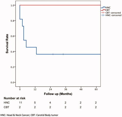 Figure 3. Kaplan–Meier plot for overall survival (OS) of patients, carotid body tumors (CBT) reported separately.
