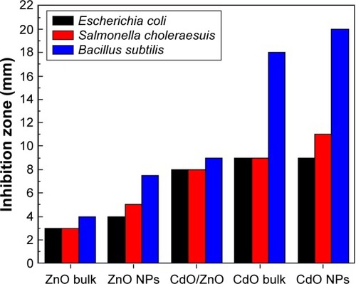 Figure 11 Average inhibition zone graph for ZnO bulk, ZnO NPs, ZnO/CdO NPs, CdO bulk, and CdO NPs against Escherichia coli ATCC 25922 Gram, Salmonella choleraesuis ATCC 10708, and Bacillus subtilis UPMC 1175 Gram (+ve).Abbreviations: ZnO, zinc oxide; NP, nanoparticle; CdO, cadmium oxide.