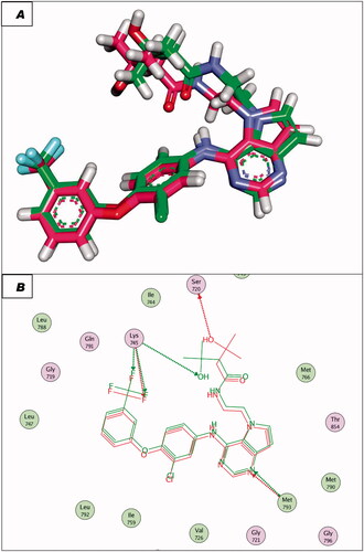 Figure 8. (A and B) 3D and 2D superimposition of the docked ligand of mutant EGFR (TAK-285; Pink) and the original ligand (green) with RMSD value of 1.06 Å.