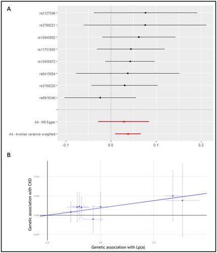 Figure 2. Causal role of genetically predicted Lp(a) level on CKD. (A) Causal estimate of each individual SNP to CKD in fixed-effect IVW analysis. The Y-axis indicates each individual SNP, the X-axis indicates the genetic association with CKD of each SNP. The black dots and lines represent the causal estimates with 95% CI of individual SNP. The red dots and lines represent the overall effect of summarized SNPs using MR egger [estimated β = 0.028, 95% CI (−0.028, 0.085), p = 0.325] and IVW method [estimated β = 0.038, 95% CI (0.009, 0.067), p = 0.010]. (B) Scatter plot of the association of each SNP with Lp(a) and CKD. The points represented the causal estimates of each individual SNP with Lpa (X-axis) and CKD (Y-axis). The line indicated the estimate of effect of Lp(a) and CKD using fixed-IVW method. CKD, chronic kidney disease; CI, confidence interval; IVW, inverse variance weighted; Lp(a), lipoprotein(a); MR, Mendelian randomization; SE, standard error; SNP, single nucleotide polymorphism.