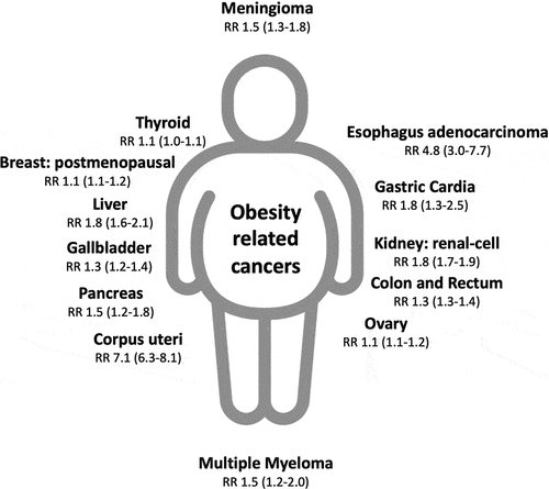 Figure 1. The relative risk (RR) of the highest BMI category evaluated (versus normal BMI) in the obesity-related cancers according to the International Agency for Research on Cancer (IARC) working group [Citation1].