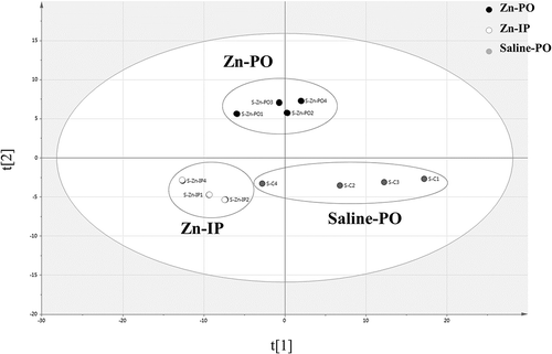 Figure 2. An OPLS-DA plot for hypothalamus for the three experimental groups.Each point represents the results of analysis of data from one rat; PO, oral administration; IP, intraperitoneal administration. t[Citation1] = scores for predictive component 1, t[Citation2] = scores for predictive component 2. R2X[Citation1] = 0.2100; R2X[Citation2] = 0.0672. The ellipse shows the 95% confidence interval using Hotelling’s T2 statistics.