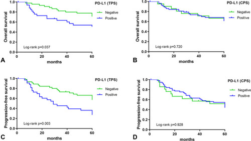 Figure 2 Kaplan–Meier curves of overall survival (OS) and progression-free survival (PFS) in patients with endometrial serous carcinoma (ESC). (A) OS in PD-L1-negative group (green) and PD-L1-positive group (blue) using tumor proportion score (TPS) (cut off 1%). (B) OS in PD-L1-negative group (green) and PD-L1-positive group (blue) using combined positive score (CPS) (cut off 1). (C) PFS in PD-L1-negative group (green) and PD-L1-positive group (blue) using TPS (cut off 1%). (D) PFS in patients in PD-L1-negative group (green) and PD-L1-positive group (blue) using CPS (cut off 1).