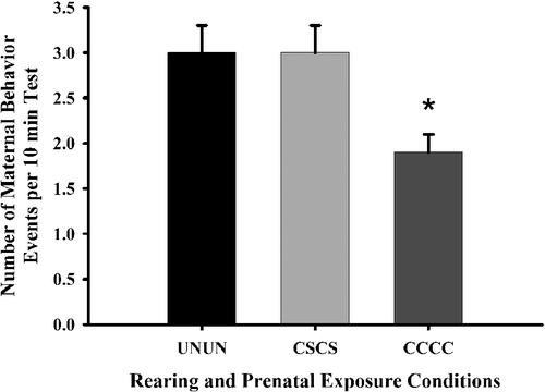 Figure 9 The frequency of maternal behaviors by first generation dam (FGD) rearing environment and prenatal exposure condition on PPD eight. Each bar represents least squares mean (LSM) and standard error ( ± SEM) for n = 23 first generation dams reared by an untreated dam with no prenatal exposure (UNUN), 11 reared by a chronic saline-treated dam and prenatally exposed to chronic saline (CSCS), and 10 reared by a chronic cocaine-treated dam and prenatally exposed to chronic cocaine (CCCC). As indicated by the asterisk, results indicate a significantly reduced frequency of maternal behaviors in CCCC FGDs compared to both CSCS (p ≤ 0.05) and UNUN (p ≤ 0.01) FGDs.