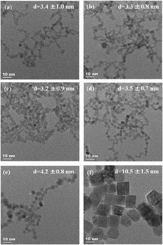 Figure 2. TEM images of the nanocrystals grown with TMAH at (a) pH 7.3, (b) pH 9.2, (c) pH 10.7, (d) pH 12.6, (e) pH 13.3, and (f) pH 13.7. Reprinted with permission from Ref. [Citation37]. Copyright 2013 American Chemical Society.