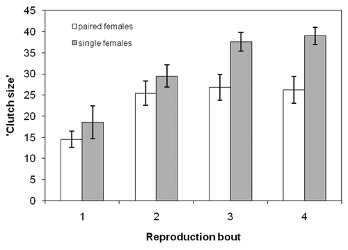 Figure 1. Clutch sizes (mean ± SE) of paired and single females in four subsequent reproductive bouts. Clutch size was determined by the number of hatched larvae.