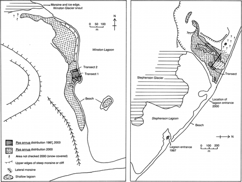 FIGURE 2. Winston Lagoon and Stephenson Lagoon sites: location of transects and changes in Poa annua distribution, 1987–2000