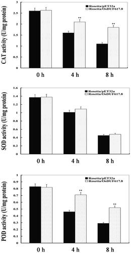 Figure 5. Antioxidant enzyme activities in E. coli transformants overexpressing OsDUF617.8 under osmotic stress.Note: After E. coli transformants were exposed to osmotic stress conditions (300 mmol/L mannitol treatment) for 0, 4, and 8 h, respectively, catalase (CAT), superoxide dismutase (SOD) and peroxidase (POD) activities were determined. Error bars indicate standard error of the means based on three biological replicates. **, P < 0.01 (Student’s t-test).