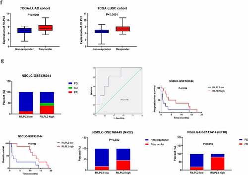 Figure 4. (Continued).