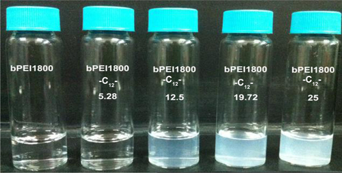 Figure S2 Appearance of bPEI1800 and its C12 grafting derivatives at a concentration of 4 mg/mL in double-distilled water.Note: 5.28, 12.5, 19.72, and 25 represent the substitution degree of C12.Abbreviations: bPEI1800, branched polyethylenimine with molecular weight 1,800 Da; bPEI1800-C12, bPEI1800 grafted with hydrophobic C12 chains.