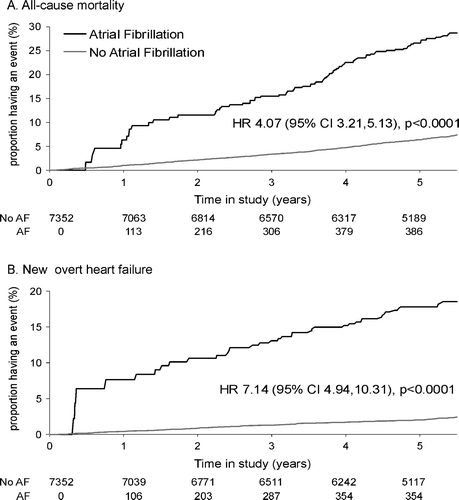 Figure 1.  Modified Kaplan-Meier Curves comparing all-cause mortality (Figure 1A) and new overt heart failure (Figure 1B) in patients with and without new AF during follow-up. For 7 352 patients without AF at baseline, numbers along the horizontal axis denote for the indicated time points the number of patients ‘at risk’ of death and new overt heart failure (Figure 1A and 1B respectively) by occurrence of new-onset atrial fibrillation (AF) prior to event. Also shown are the hazard ratio (HR) comparing patients with and without new-onset AF and its 95% confidence interval (CI), adjusted only for new-onset AF as a time-dependent covariate (c.f. statistical methods).