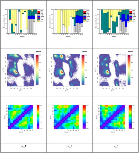 Figure 4. Secondary structure plots, Ramachandran and residue contact maps for Fe(II)–Aβ complexes.