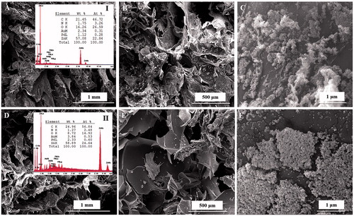 Figure 2. SEM images of CHT/SS/100nZnO (A–C) and CHT/SS/250nZnO (D–F) composite 3D porous scaffolds and EDX scan spectra of (I) CHT/SS/100nZnO, (II) CHT/SS/250nZnO.