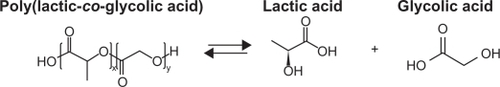 Figure 1 Poly(d,l-lactide-co-glycolide) hydrolysis.