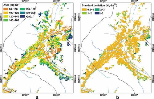 Figure 7. The spatial distribution of pixel-level AGB estimates (Bˆpix_ITA) (a) and its uncertainty (σˆpix_ITA) (b) of larch plantations based on ITA around Xinken District. Xinken District was dominated by the AGB estimates and its uncertainty less than 180 Mg·ha−1 and less than 1 Mg·ha−1, respectively.