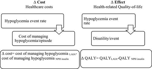 Figure 1 A simple cost and consequences mathematic model approach to evaluate the reduced hypoglycemia in T2DM treated with LAIA or NPH insulin. The cost of managing hypoglycemia for LAIA= Total number of hypoglycemia event rate × Total cost of managing hypoglycemia per episode. The cost of managing hypoglycemia for NPH insulin= Total number of hypoglycemia event rate × Total cost of managing hypoglycemia per episode. Total QALY for LAIA= Total hypoglycemia event/year × disutility event per episode. Total QALY for NPH= Total hypoglycemia event/year × disutility event per episode.Abbreviations: Δ cost, change in cost; Δ QALY, change in quality-adjusted life year; QALY, quality-adjusted life year; LAIA, long-acting insulin analogue; NPH Insulin, neutral protamine Hagedorn insulin; T2DM, type 2 diabetes mellitus.