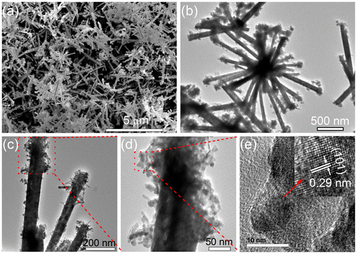 Figure 3. (a) Typical SEM image of the as-prepared CoTe nanorods synthesized at Te/Co molar ratio of 1 in the absence of NaOH. (b) Typical and (c, d) enlarged TEM images of CoTe nanorods; (e) HRTEM image taken from the red rectangular area in (d).