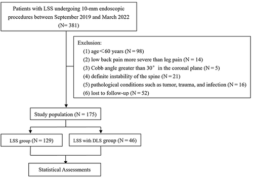 Figure 1 Flowchart of patient eligibility screening.