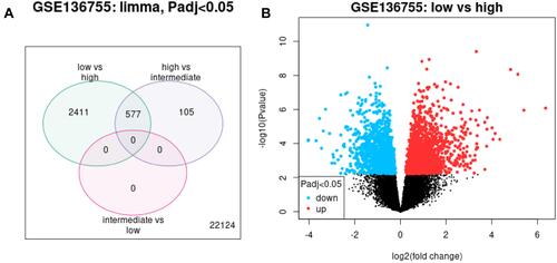 Figure 1 Differentially expressed genes among different risk groups. (A) Number of differentially expressed genes among high, intermediate and low risk groups. High-risk vs intermediate-risk = 682, high-risk vs low-risk = 2988 with a total of 577 overlapping genes. (B) Differentially expressed genes of the high-risk versus low-risk groups. Blue, down-regulated genes; red, up-regulated genes; black, non-differentially expressed genes.