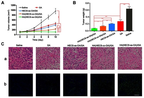Figure 7 Tumor growth (A) and tumor weight (B) of A549 tumor-bearing mice administrated with saline, GA, HECS-ss-OA/GA, HA(HECS-ss-OA)/GA and HA(HECS-cc-OA)/GA at a GA dose of 8 mg/kg. Data are represented as the mean ± SD (n = 5). ***P < 0.001; **P < 0.01; *P <0.05. (C) Images of H&E-stained (a) and TUNEL-stained (b) tumor sections, scale bar is 200 μm.Abbreviations: HA, hyaluronic acid; HECS, hydroxyethyl chitosan; OA, octylamine; GA, gambogic acid.