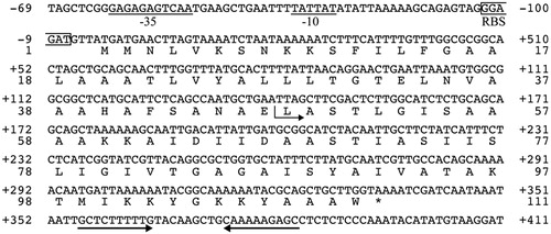 Figure 2. Complete nucleotide and deduced amino acid sequences of amylocyclicin CMW1.