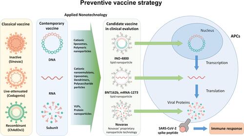 Figure 4 Classical vaccine, modern vaccine and nanotechnology applied vaccine against SARS-CoV-2. Types of classic vaccines and representative candidate vaccines in clinical trials, Nanoparticles applicable to contemporary vaccines using DNA, RNA, and subunits, representative candidate vaccines in clinical trials, and mechanism of action of nanotechnology-based vaccines in APC.