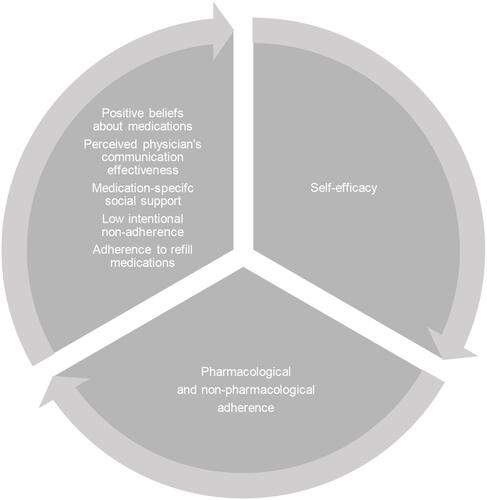 Figure 1 Model showing possible circular effect of higher levels of psychosocial and behavioral factors, self-efficacy, and clinical adherence.