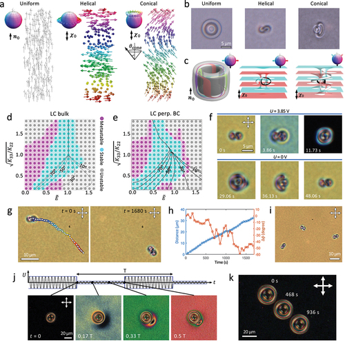 Figure 7. Geometric transformation and 3D hopping of Hopf solitons. (a) Schematics of nr in the uniform, helical, and conical state, respectively. The conical state is at a cone angle θcone with respect to the helical axis χ0. (b) Hopf solitons observed in chiral LCs using bright-field microscopy in a uniform, helical, and conical background, respectively. (c) Preimages of vector orientations (shown in insets as arrows in the order-parameter space S2) of Hopf solitons stabilized in a uniform, helical, and conical background, respectively. (d, e) Structural stability diagrams of LC Hopf solitons in the bulk (d) and within a confined volume with perpendicular boundary condition and d=3p0 (e). Here p0 is the equilibrium pitch at no field. The data points are colored based on the stability of Hopf solitons, and the contour lines of background mid-plane cone angle θcone are shown in each diagram. (f) Polarizing optical microscopy snapshots of a Hopf soliton switching from a heliknoton at U = 0 V (0 s) to a hopfion at U = 3.85 V (11.73 s), and back to a heliknoton at U = 0 V (48.06 s). (g) Translational and orientational displacement of a Hopf soliton by repeated voltage switching shown at its initial (left) and final (right) position. The 2D trajectory is color-coded by time and the long-axis orientations of the Hopf soliton in helical background at intermediate positions are shown by double arrows. (h) Distance and accumulated change in orientation in each transformation cycle (Δϕ) of a hopping Hopf soliton shown in (g). (i) The different long-axis orientations of Hopf solitons in a helical background with perpendicular confinement. (j) Snapshots of polarizing optical micrographs of a Q=1 Hopf soliton subject to background modulation by a modulating voltage profile shown in the top. The modulation period T = 2 s. (k) Squirming of a Q=1 Hopf soliton shown by superimposed polarising optical micrographs at different times.