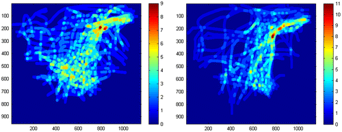 Figure 7. Visual analysis indicating movement paths of (left) truth tellers, taking pictures for a tourist brochure and (right) liars, taking photos for reconnaissance.