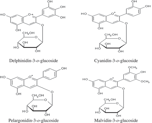 Figure 1. General structures of studied anthocyanins.