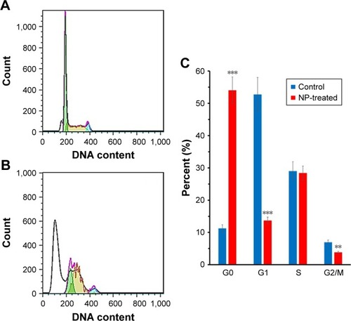 Figure 9 Lymphocyte cells were incubated with IC50 concentrations of NGOs for 24 hours and the cell cycle phases in the absence (A) and presence of NGOs (B) were determined by flow cytometry. The quantitative analysis was plotted to show the population of cell cycle phases (C).Note: **P<0.01 and ***P<0.001 compared with the negative control sample.Abbreviations: NGO, nano graphene oxide; NP, nanoparticle.