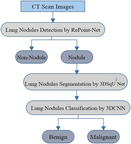 Figure 1. Proposed framework of nodule identification. Graphical illustration of the proposed pipeline that contains three modules. RePoint-Net was trained with dataset LIDC/IDRI the trained model as nodule or non-nodule. The 3DSqU2Net model segmented of lung and nodules of detected in RePoint-Net. classification of nodules candidate by proposed 3DCNN as nodule benign or nodule malignant.