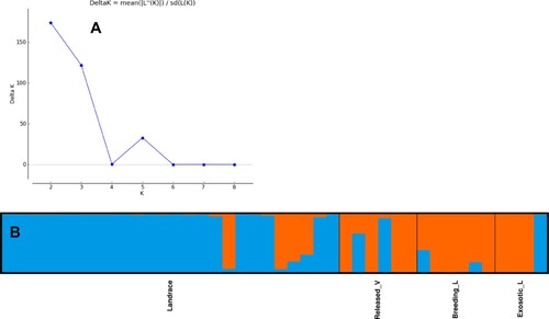 Figure 1. Structure analysis visualised Structure Harvester. (A) Population genetic structure partitioned into K subpopulations (B) Population structure analysis of tef accessions at K = 2 based on inferred ancestry (Q matrix). Subpopulation 1 is represented by dark blue and subpopulation 2 by red.