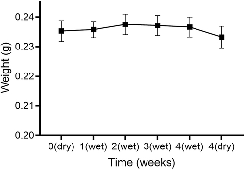 Figure 12 Weight change of the fiber-reinforced composite with the duration of soaking in artificial saliva. The use of “dry” and “wet” indicate that the specimens were tested after and before desiccation, respectively.