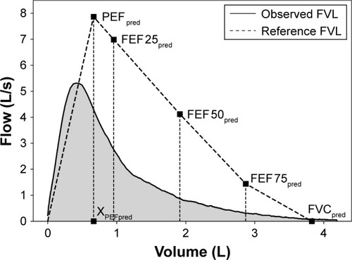 Figure 1 Area under the forced expiratory FVL is determined by integrating all flow-volume measurement points of the observed FVL.