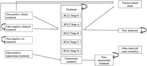 Figure 3. US Markov model diagram. Abbreviation. BCLC, Barcelona Clinic Liver Cancer.