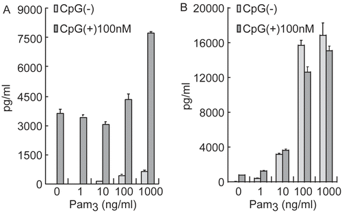 Figure 4.  Synergistic effect of Pam3/CpG on IL-6 production of splenocytes and peritoneal exudates cells. (A) Spleen cells were collected from naive C3H/HeJ mice, and (B) peritoneal exudates cells (PEC) were collected from thioglycolate-broth administered C3H/HeJ mice. Cells were incubated with Pam3 in the presence or absence of CpG for 24 hr at 37°C in 5% CO2. IL-6 presence in the supernatant was measured by ELISA. Results are shown as the mean ± SD.
