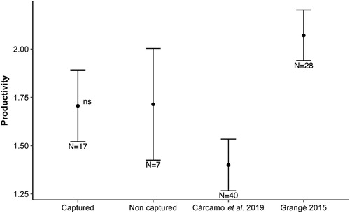 Figure 1. Comparison of productivity (mean number of fledglings ± se) between the nests where breeders were captured (this study), the nests in the same area without capturing breeders (data extract from Cárcamo et al. Citation2019) and productivity of nests in a nearby area in the French Pyrenees without capturing breeders (data extract from Grangé Citation2015). There were no significant differences between the groups (P > 0.05).