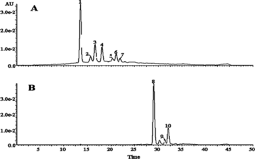 FIGURE 3 Changes in HPLC profiles of test samples at the beginning and end of storage. (A): before storage; (B): after 90 days of storage. (1): cyanidin-3-glucoside; (2): pelargonidin-3-glucoside; (3): peonidin-3-glucoside; (4): cyanidin-3-(6-malon-glucoside); (5): pelargonidin-3-(6-malon-glucoside); (6) and (7): peonidin-3-(6-malon-glucoside).