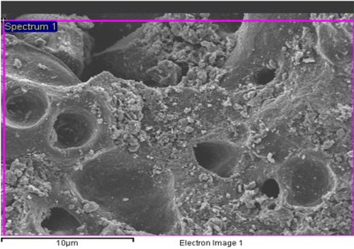 Figure 3. SEM image of flue dust.